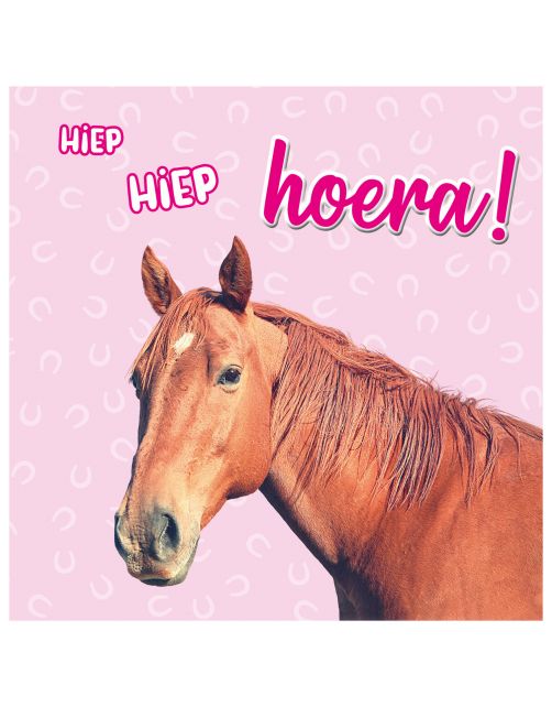 Plenty Gifts Kaart Hiep Hiep Hoera Paard - Cadeau - 13.7x13.7 cm