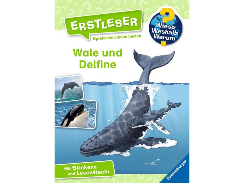 Ravensburger Kinder-Sachbuch WWW Erstleser: Wale und Delfin Spielerisch lesen lernen