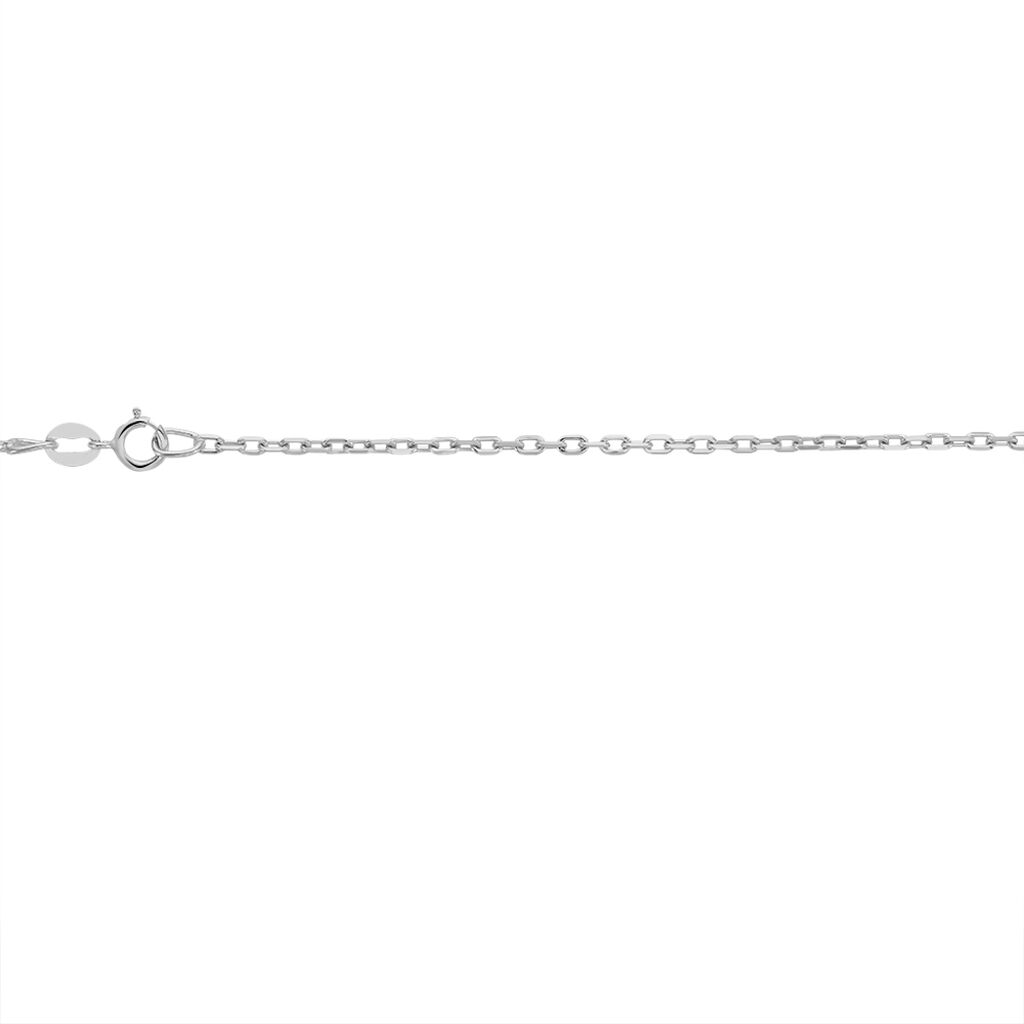 Chaîne Igoa Maille Forçat Diamantee Or Blanc