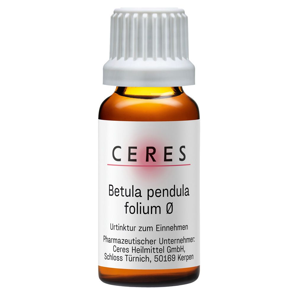 CERES Betula pendula folium Urtinktur