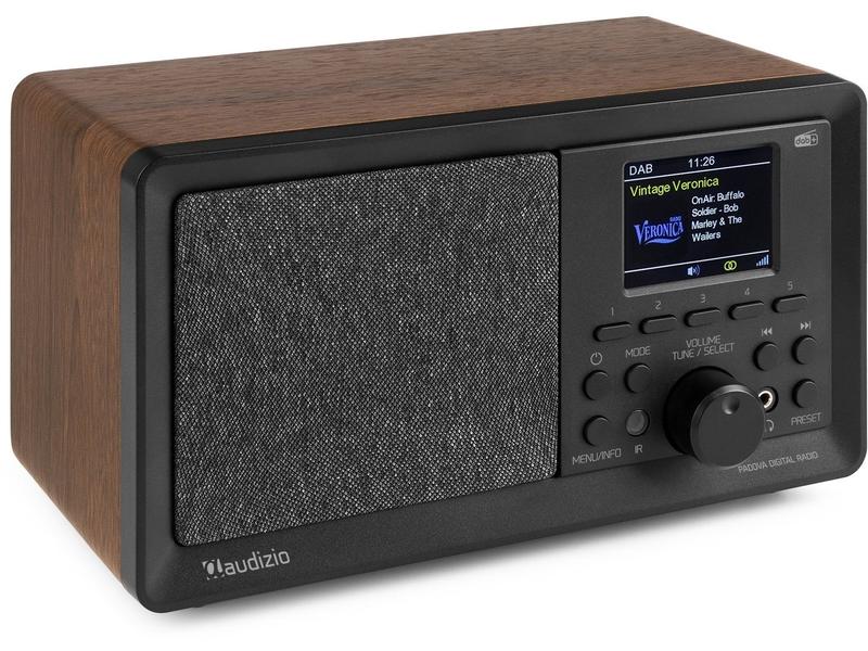Audizio DAB  Radio Padova Braun/Schwarz Digitalradio mit Farb-LCD-Display