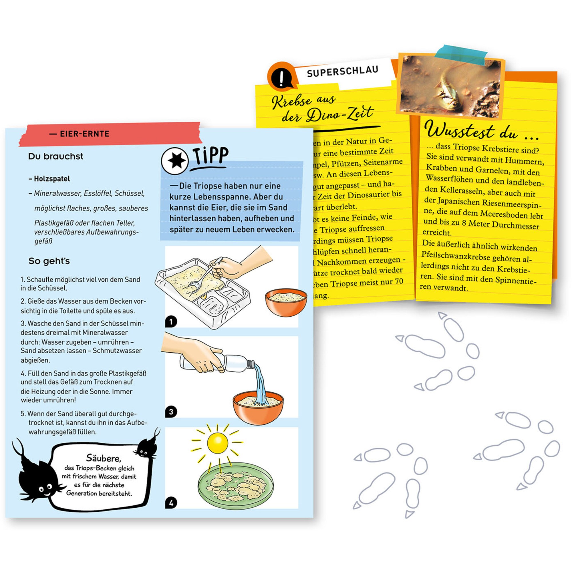 Kosmos Experimentierkasten Fun Science Triops züchten