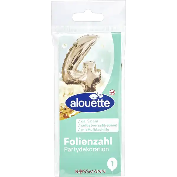 Folienzahl 4