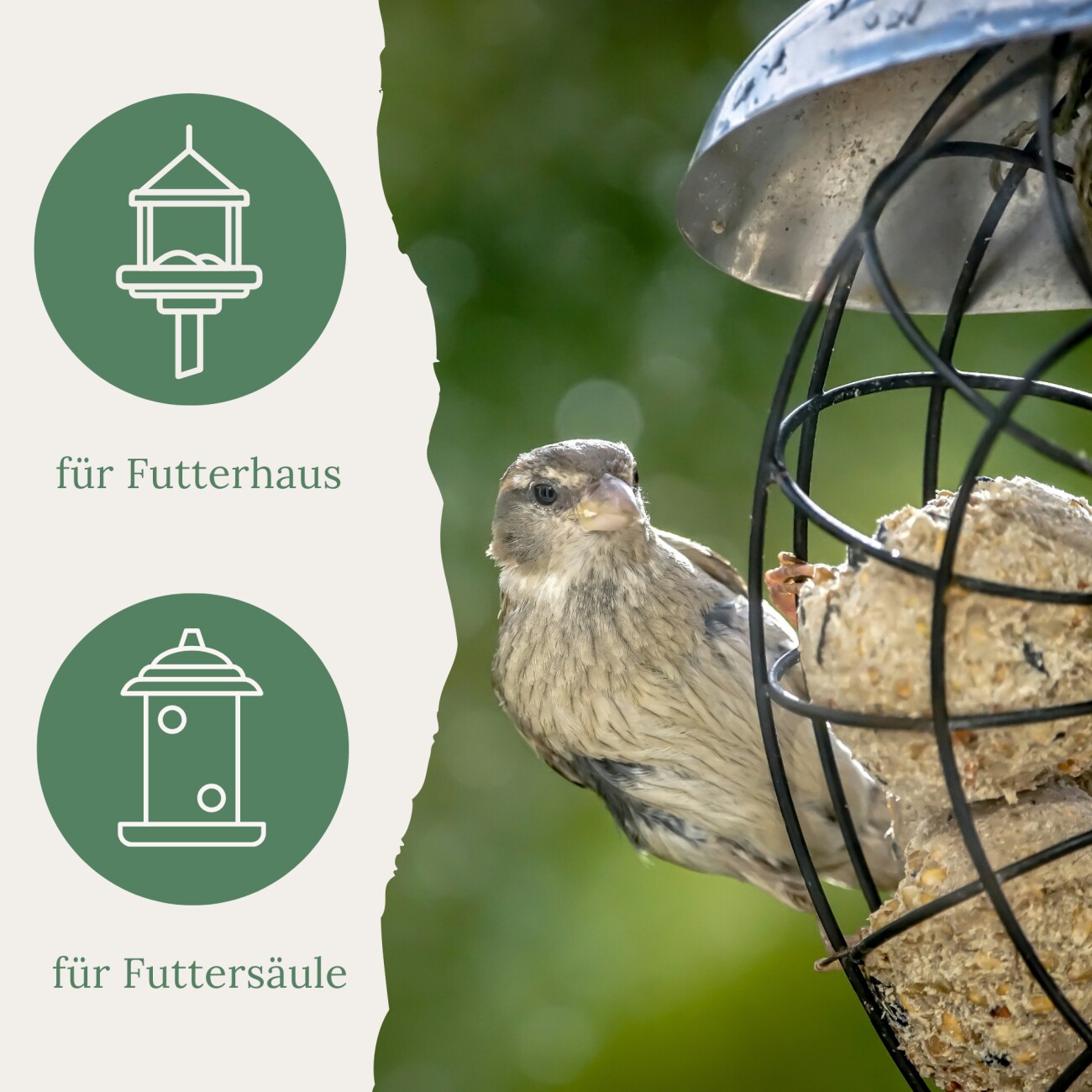 Orni Ganzjahres Meisenknödel mit Insekten ohne Netz 100 Stück