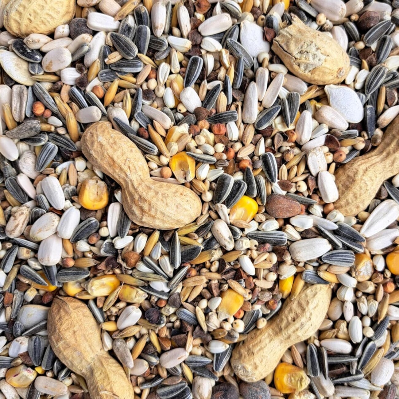 Supravit Papageienfutter für Papageien Aller Arten 2,5 kg