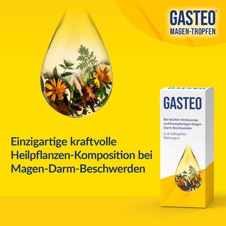 GASTEO Tropfen bei Magen-Darm-Beschwerden, 100 ml