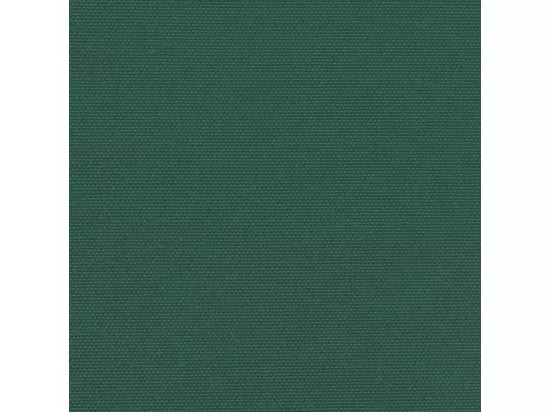 Auvent latéral rétractable vert foncé 200x500 cm