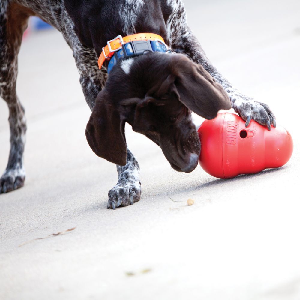 Kong hondenspeelgoed Wobbler L rood D 13 H 19 cm
