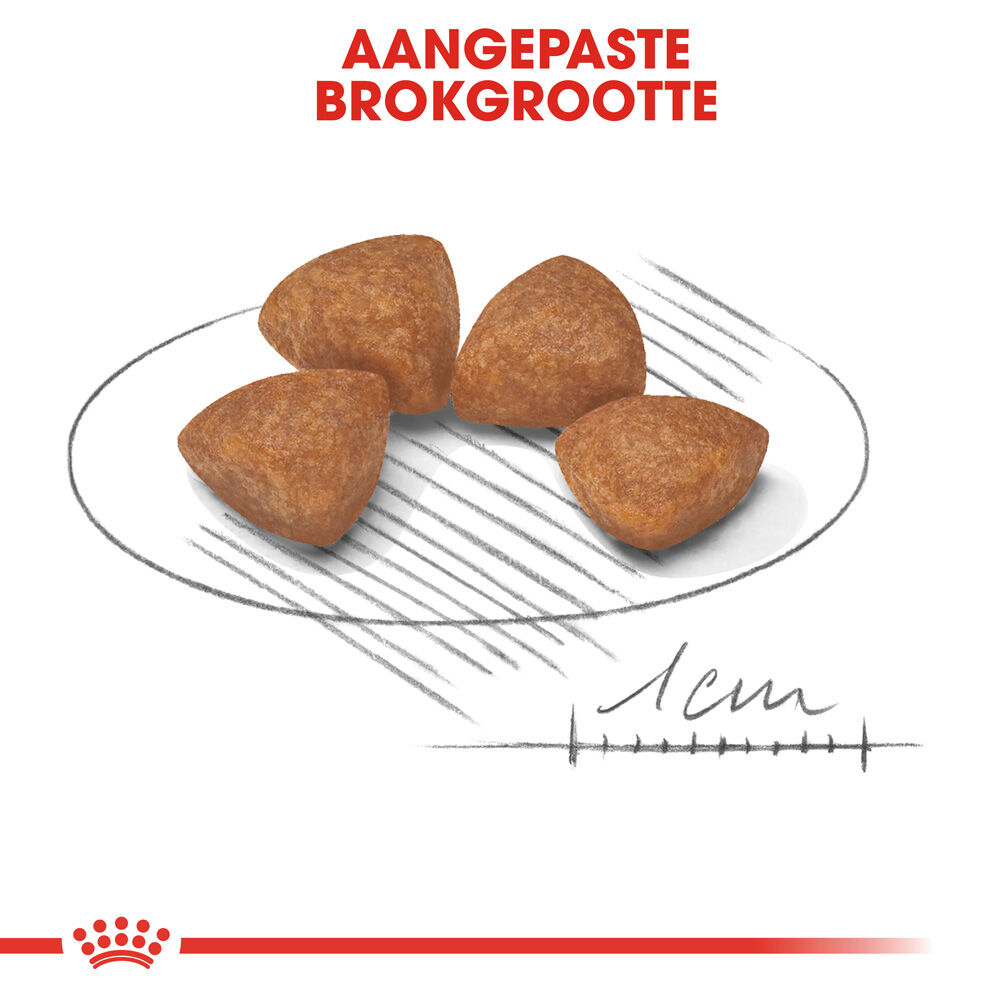 Royal Canin X-Small Puppy - Hondenvoer - 3 Kilogram - gevogelte