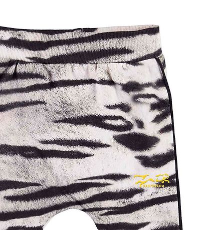 Molo Bukser - Steini - Tiger White