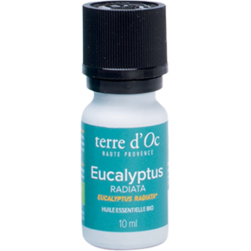Huile essentielle - Eucalyptus radiata - 10ml