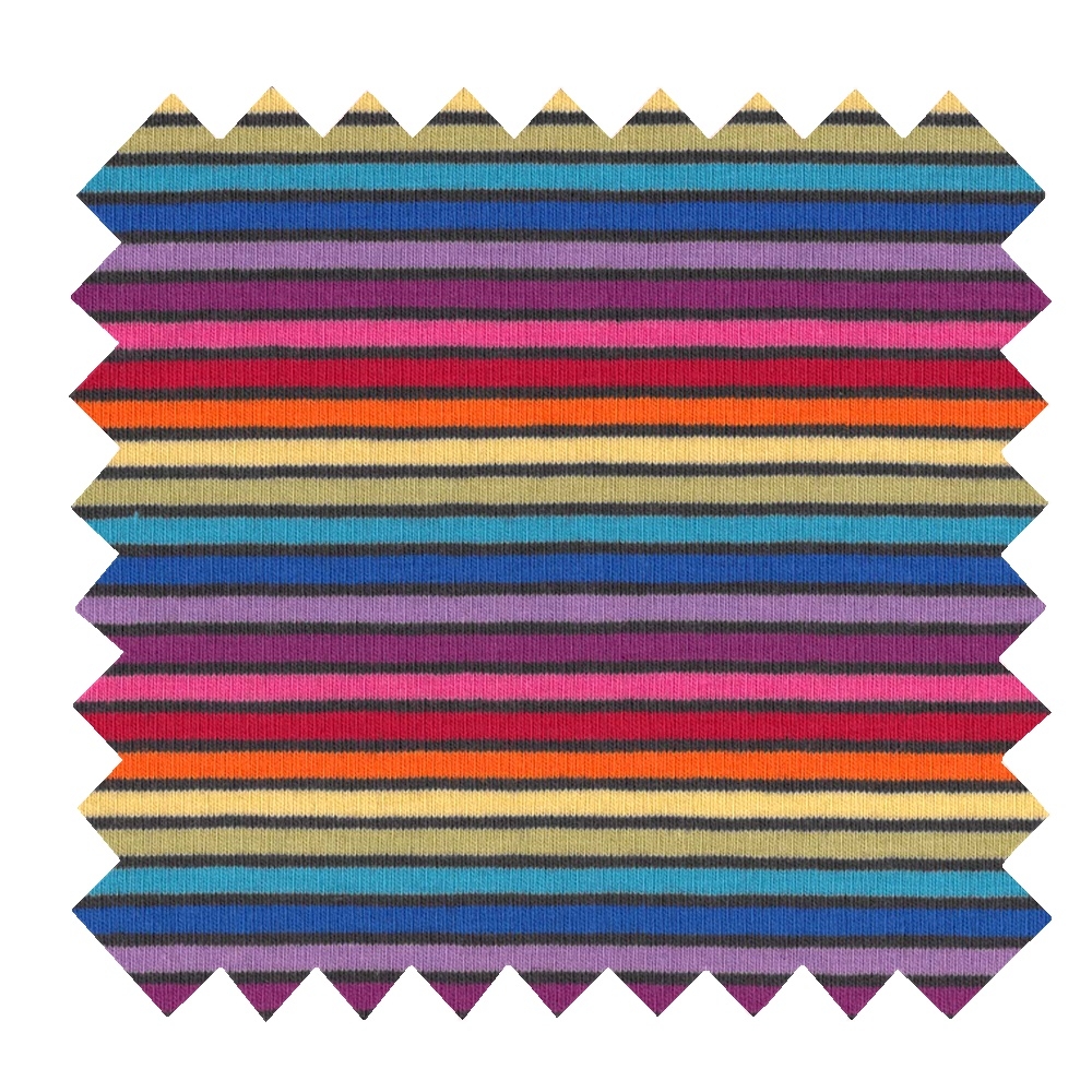 Tissu Jersey Rayé Multivitaminé Noir
