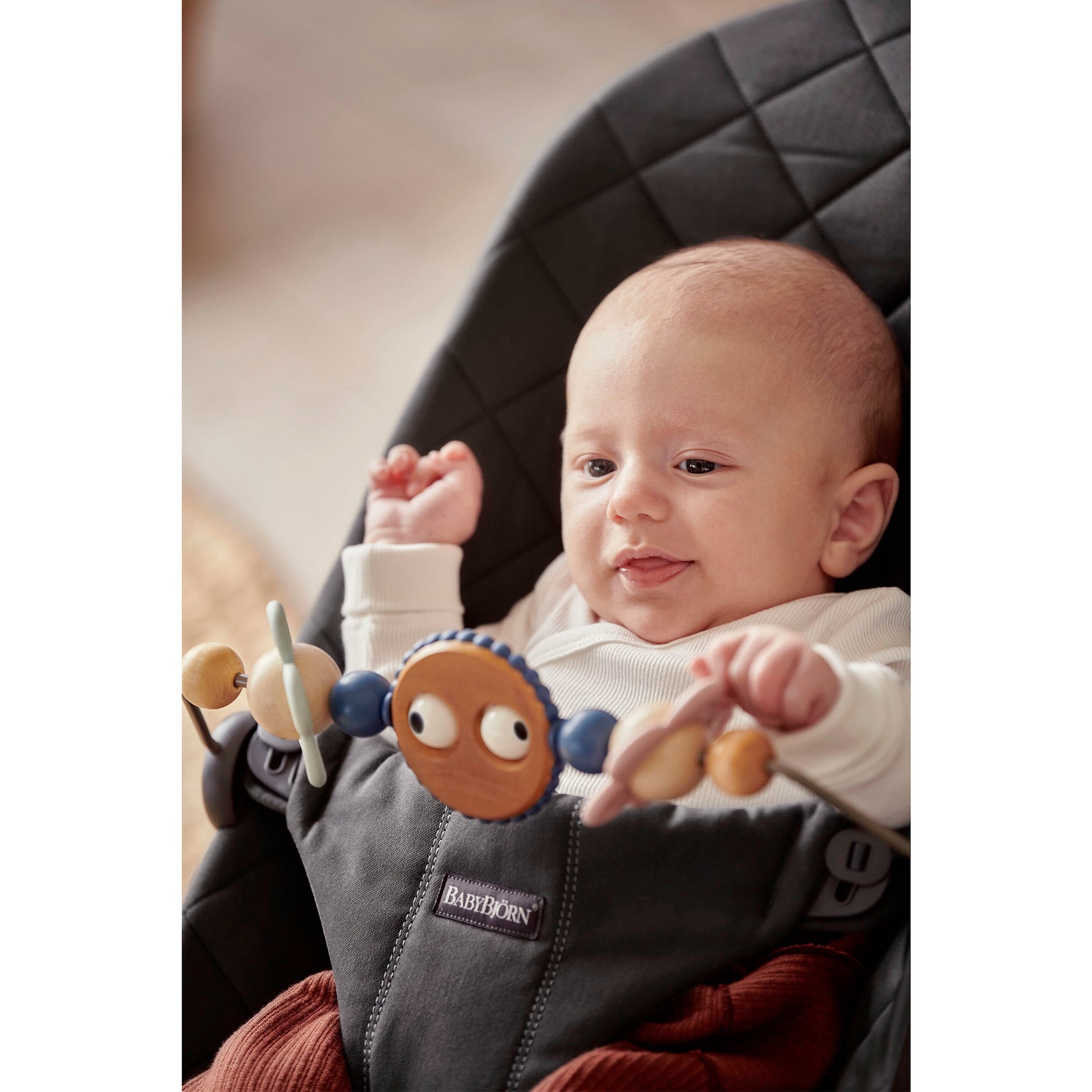 BabyBjörn Spielbügel für Babywippe pastell