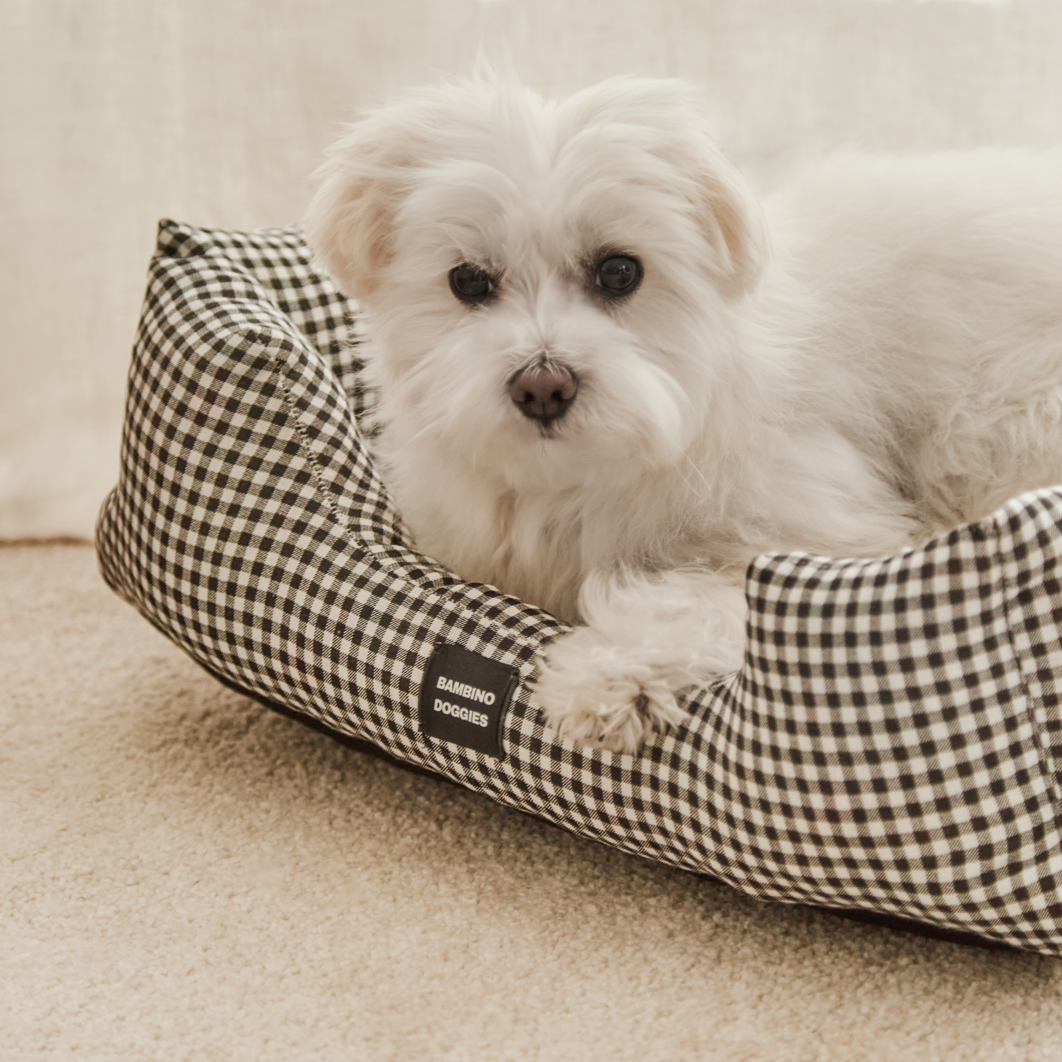 Cama preta Vichy para cães