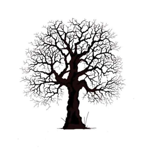 Lavinia Stempel, Oak Tree