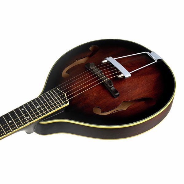 Gold Tone A-6 Mando Guitar TS