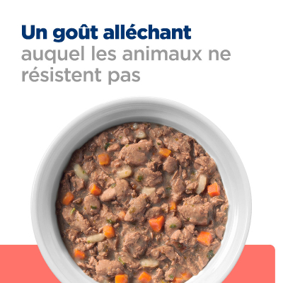Hill's VET Katze Prescription Diet On-Care Ragout Huhn 24x82g