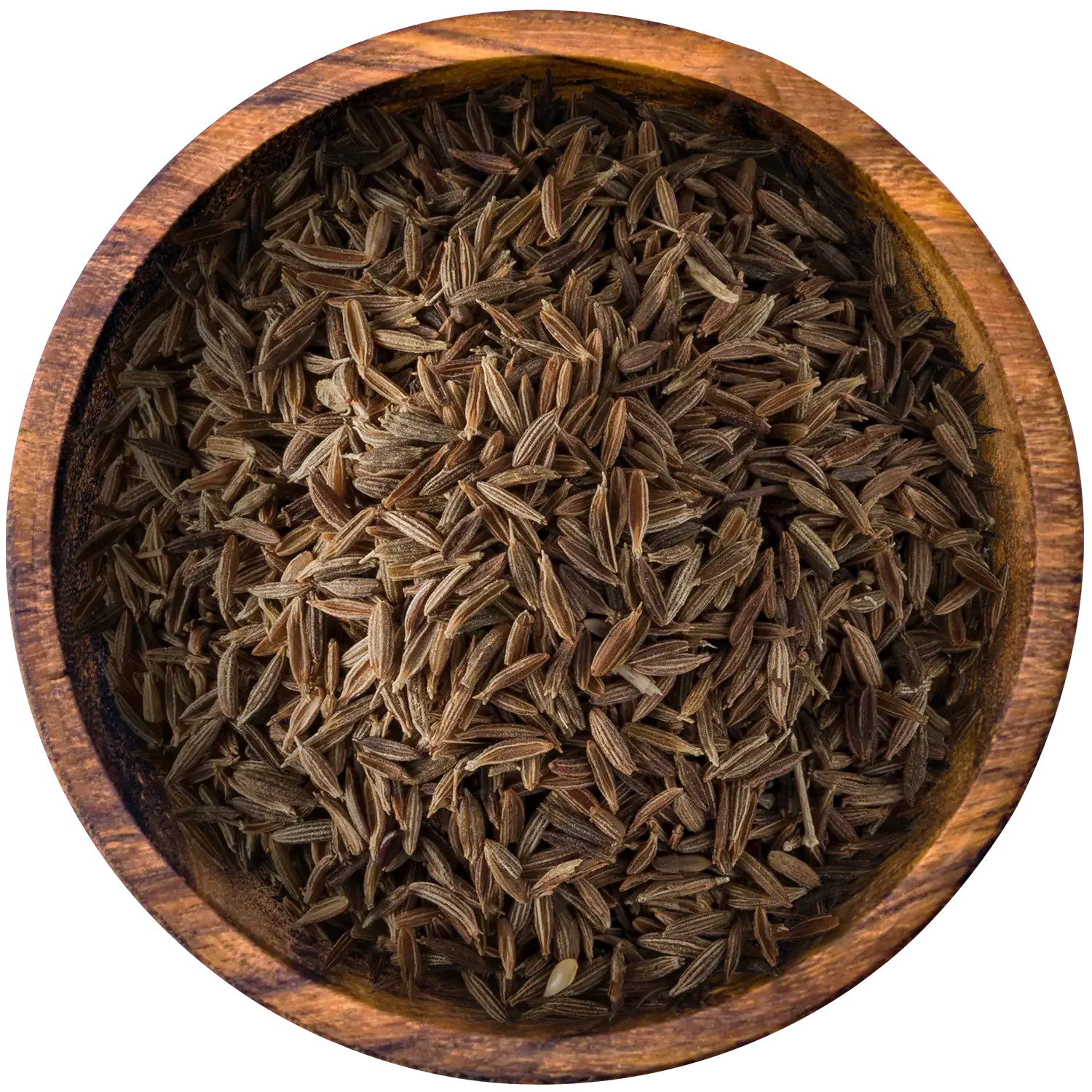 Cumin Kreuzkümmel, ganz, im Glas