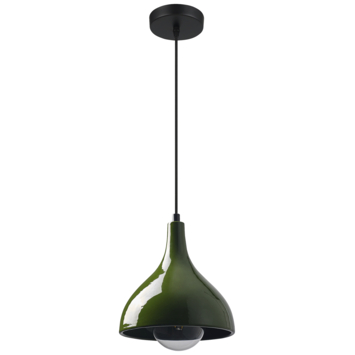 KARWEI hanglamp Liva groen