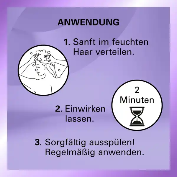 Blonde Perfector Purple Aufbau Shampoo