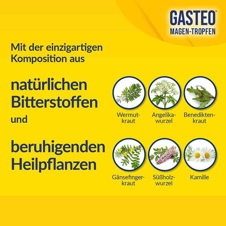 GASTEO Tropfen bei Magen-Darm-Beschwerden, 100 ml