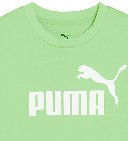 Puma T-Shirt - Ace Nr. 1 Logo - Spring Farn