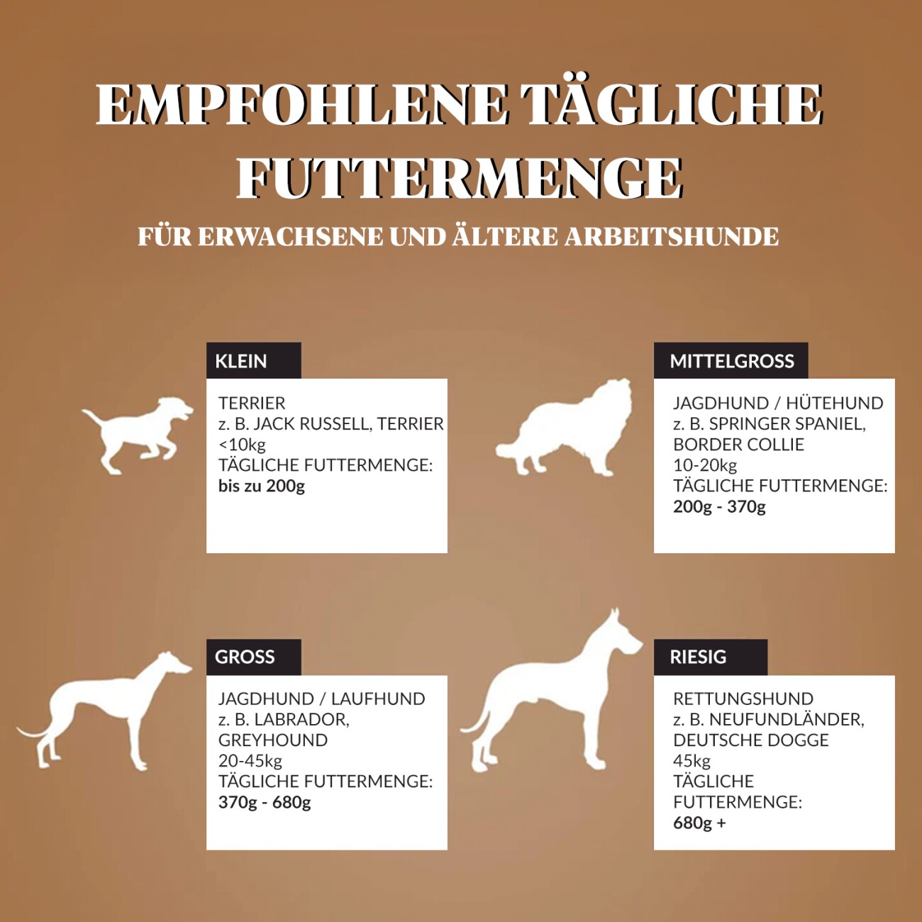 Dr John Hyppoallergen Aktiv Trockenfutter Reich an Huhn und Reis 12,5 kg