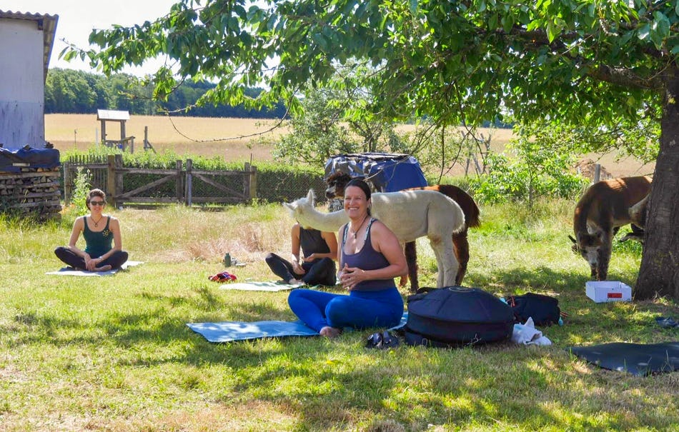 Alpaka Yoga für Zwei Arnstein