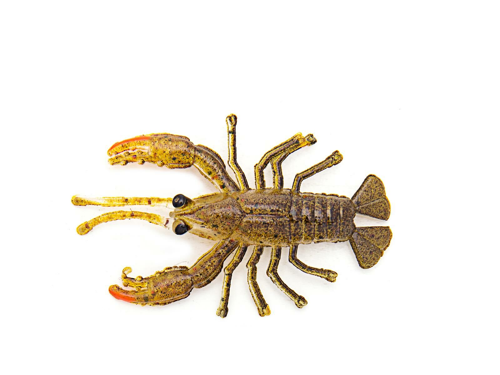 1.5
