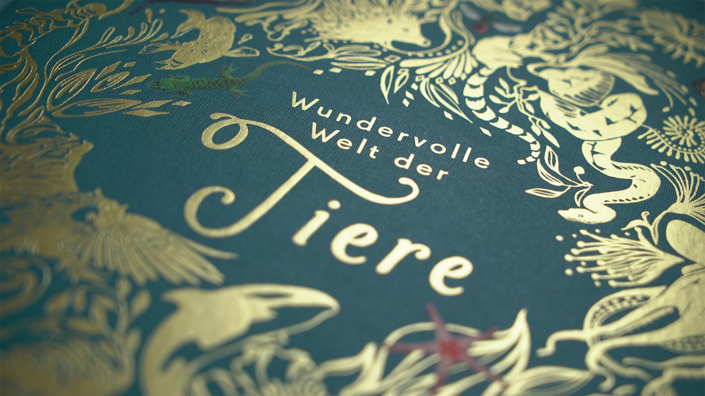 Wundervolle Welt der Tiere / Wundervolle Welt Bd.1
