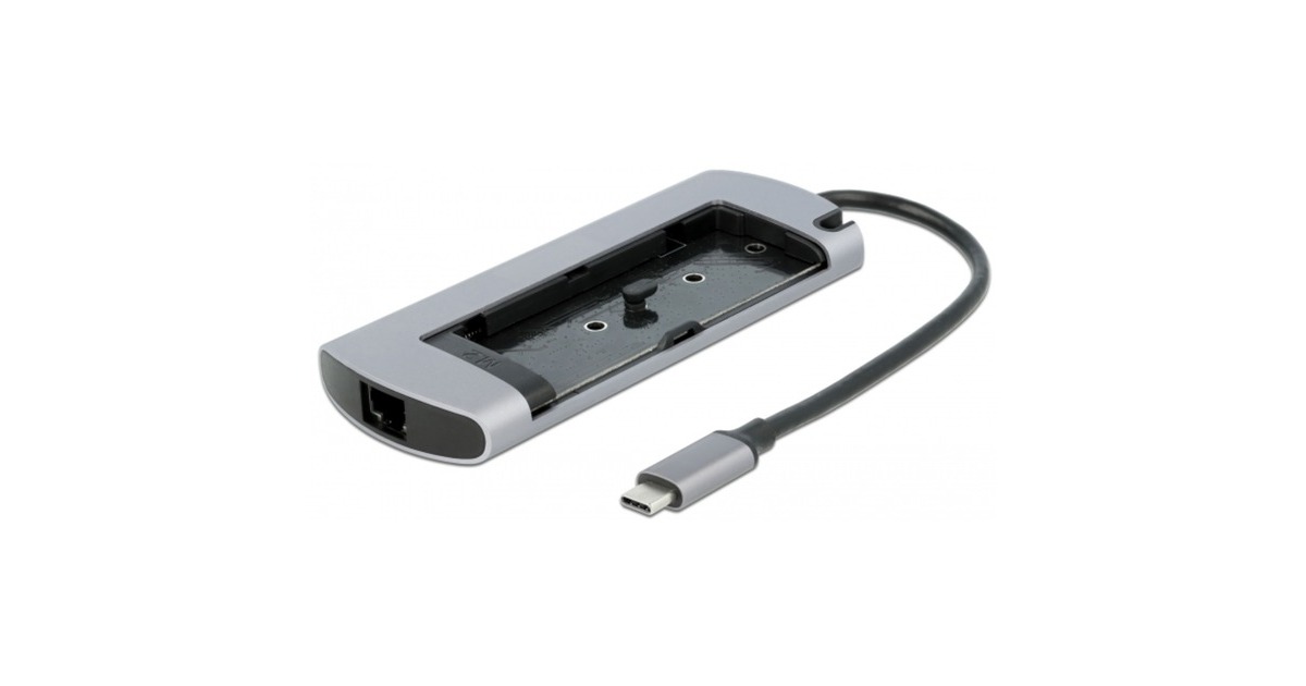 DeLOCKUSB Type-C Docking Station met M.2 Slot  (Grijs)