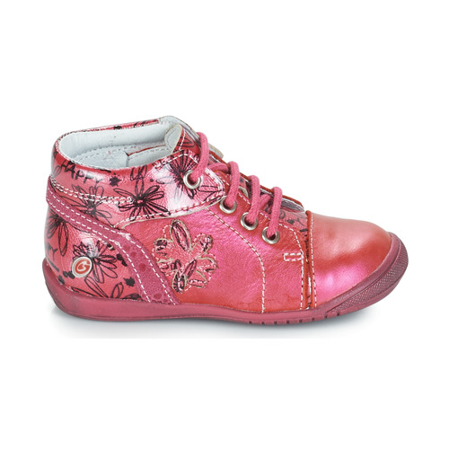 GBB - ROSEMARIE - Rose
