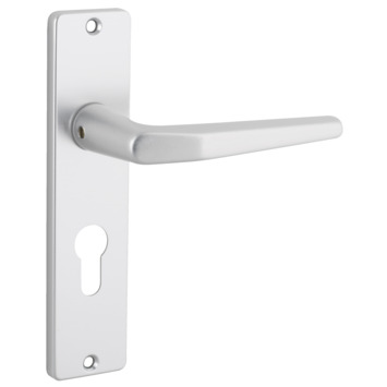 KARWEI insteekslot set compleet cilinder en deurschild Doorn 50mm