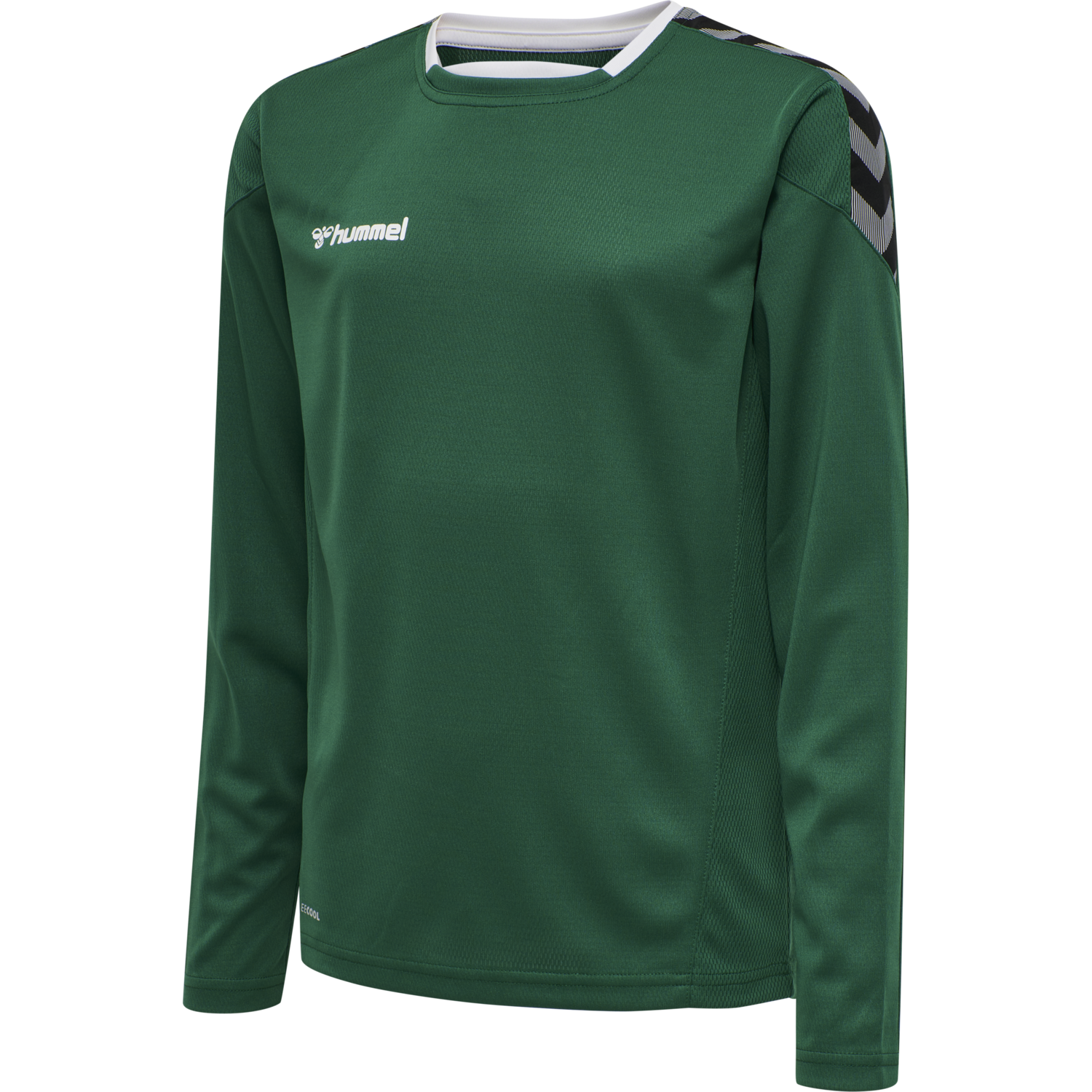 hmlAUTHENTIC KIDS POLY JERSEY L/S