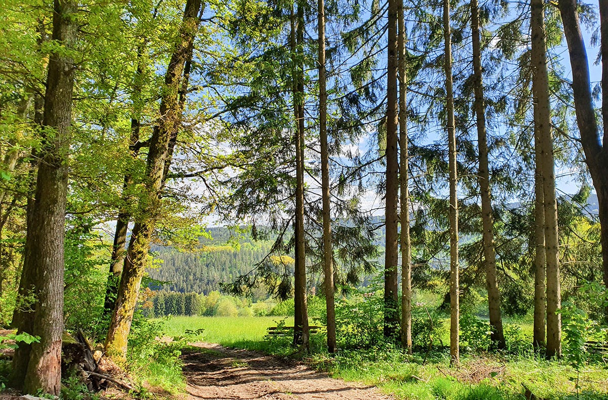 Kurzurlaub Niederbayern für 2 (1 Nacht)