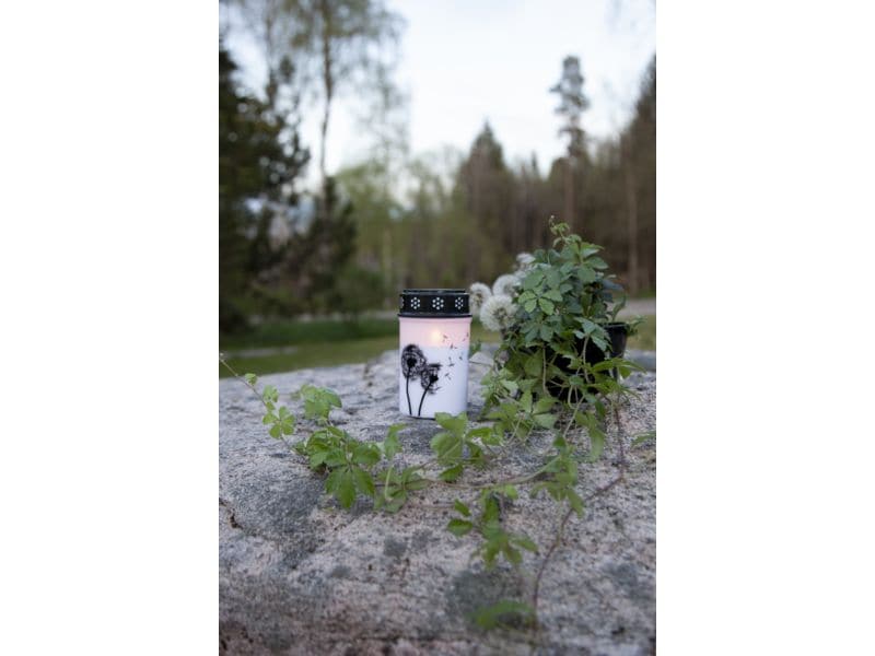 Star Trading LED Grabkerze Löwenzahn, Ø 7 x 12 cm, Weiss LED-Gedenkkerze mit Löwenzahnmotiv