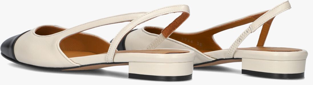 TORAL witte toral  luisa