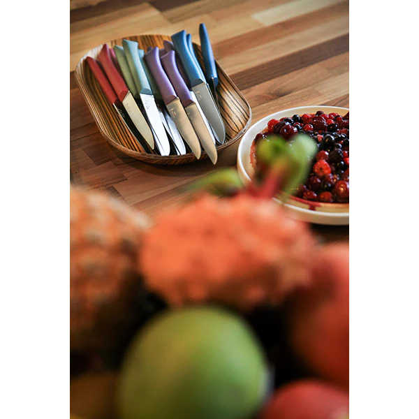 Coffret 4 couteaux de table Glam Opinel
