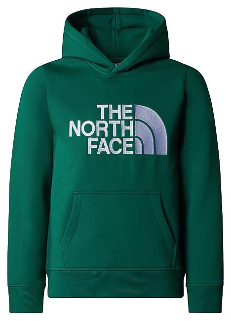 THE NORTH FACE - SWEAT A CAPUCHE B DREW PEAK P/O HOODIE