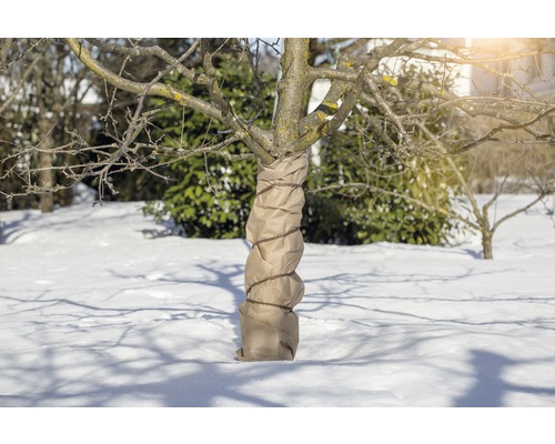Wintervlies FloraSelf Superprotect 3x1,5 m 70g/m² beige