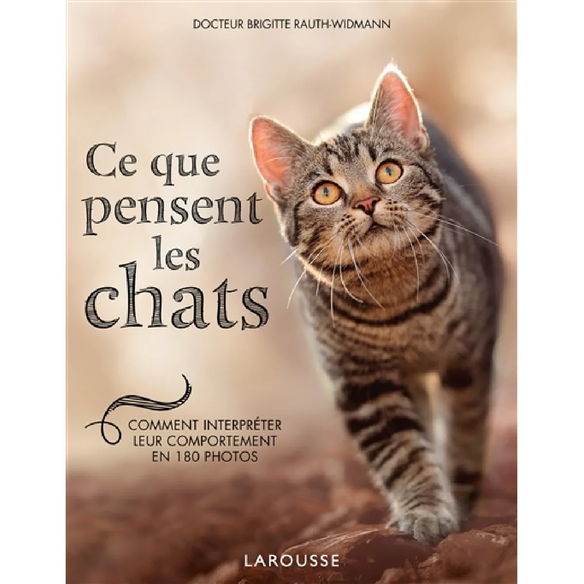 Ce que pensent les chats : comment interpréter leur comportement en 180 photos · Occasion
