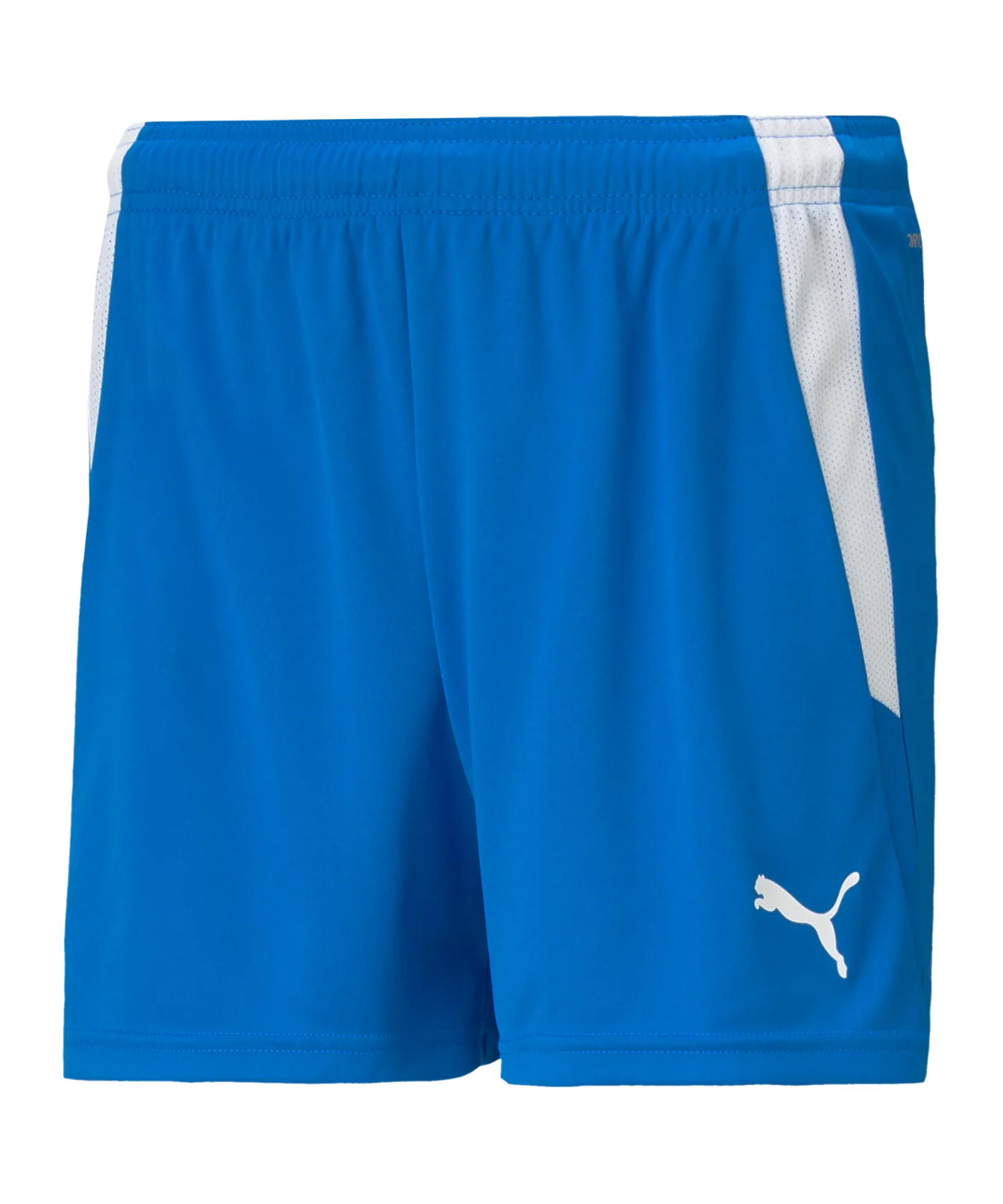 PUMA teamLIGA Shorts Damen Blau Weiss F02
