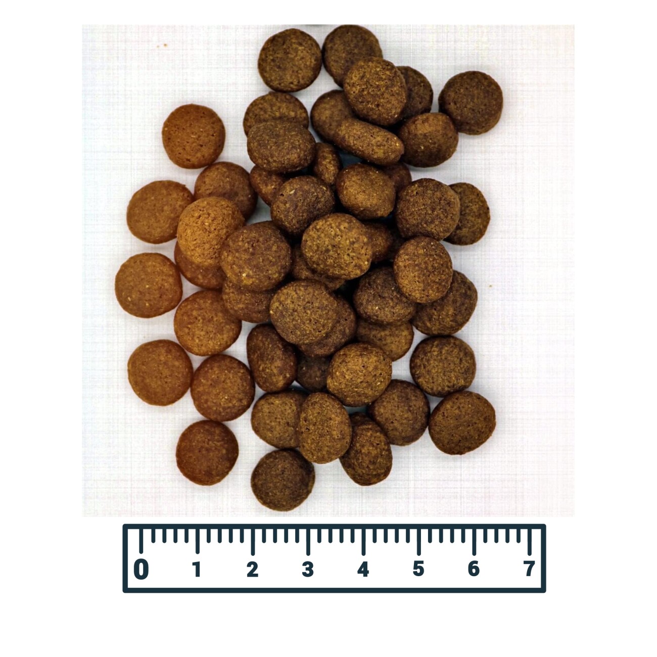 MyPetClub Wild (getreidefrei) 14,5 kg