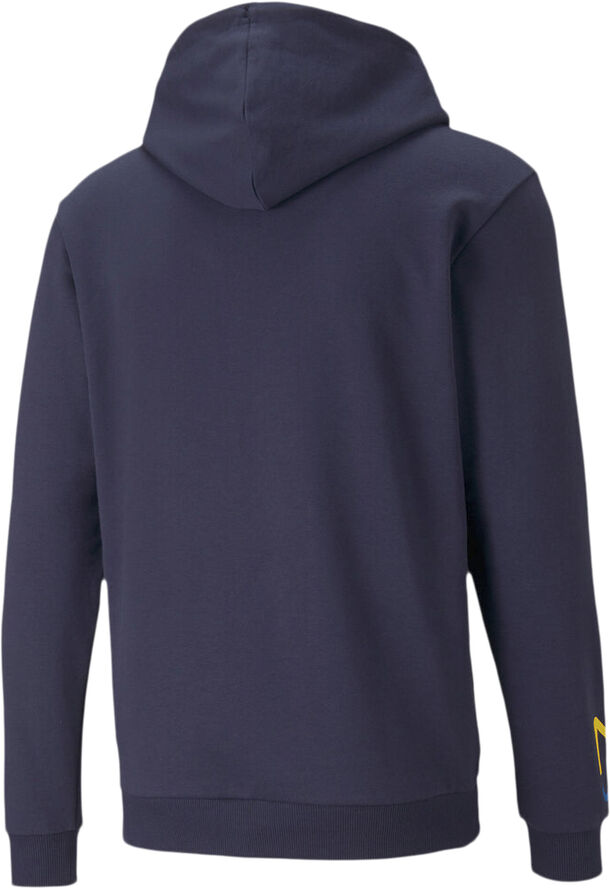 Puma Neymar Jr future hættetrøje Blå