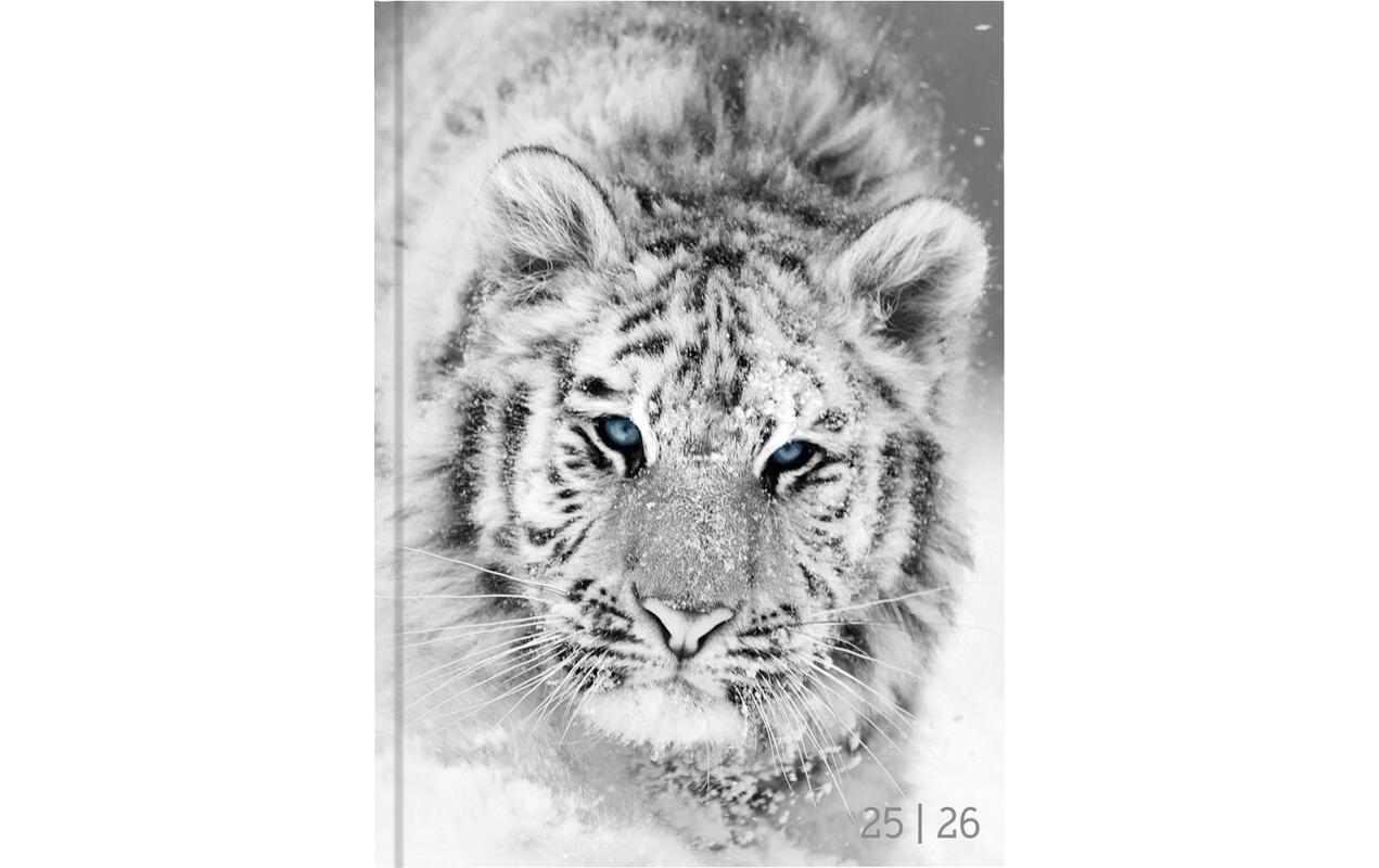 Schüleragenda Mydiary 25/26 FSC, 1T/1S, 12 x 16.5 cmModerner Terminplaner für Jugendliche