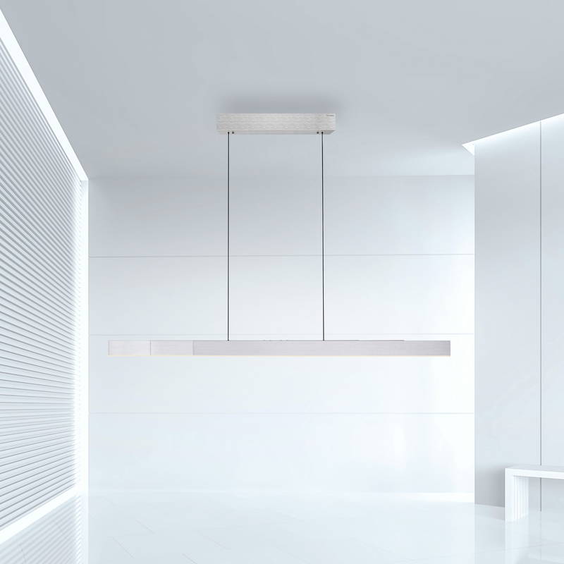 Paul Neuhaus Pendelleuchte PURE-MOTO-RISE