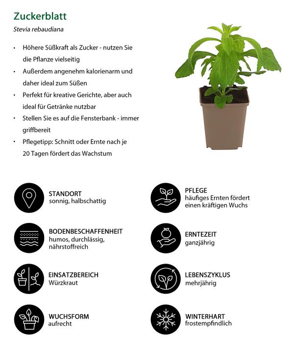 Zuckerblatt