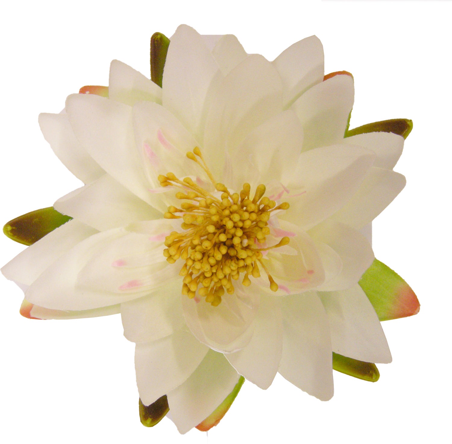 Ubbink drijfbloem waterlelie crème D 16 H 7,5 cm
