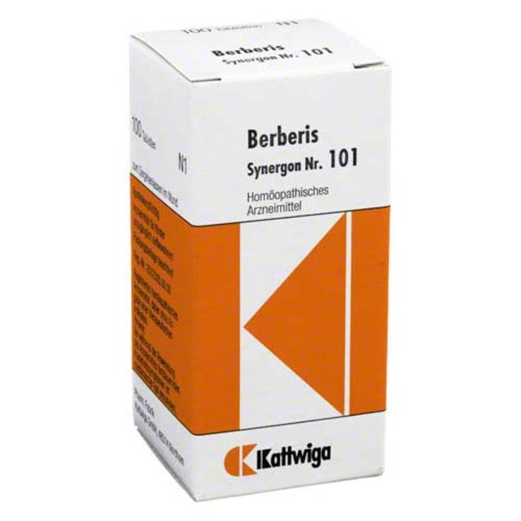 Synergon 101 Berberis Tabletten, 100 St