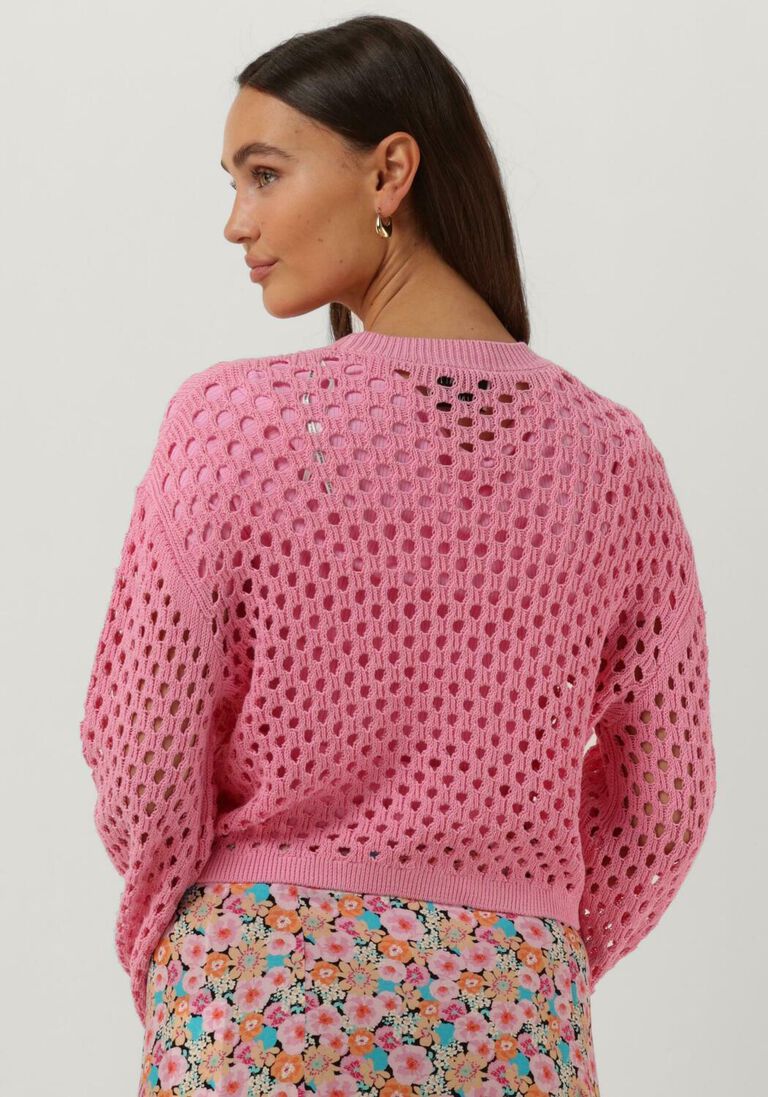 CATWALK JUNKIE roze catwalk junkie trui kn vibe